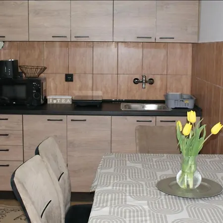 Djordjevic Tatil Evi *