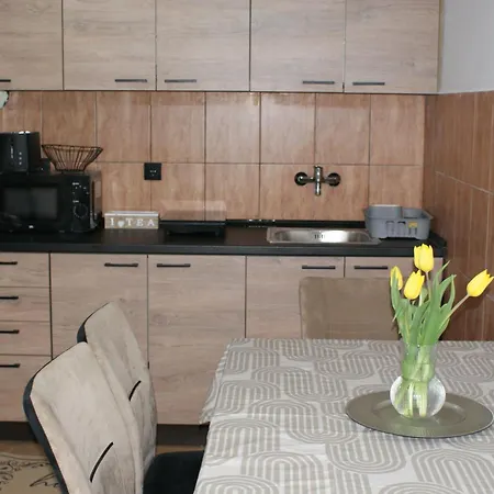 Tatil Evi Djordjevic Belgrad